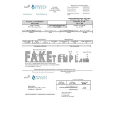 USA Florida Pensacola Energy fake utility bill Word and PDF template