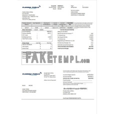 USA Florida Public Utilities fake utility bill Word and PDF template