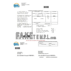 USA Florida Seco Energy fake utility bill Word and PDF template