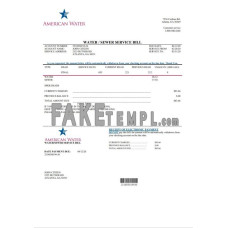 USA Georgia American fake water utility bill Word and PDF template