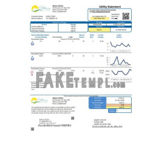 USA GEORGIA City of Albany water and fake electricity utility bill Word and PDF template