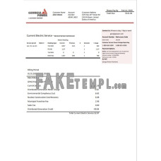 USA Georgia Power fake utility bill Word and PDF template