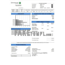 USA Georgia Savannah fake utility bill Word and PDF template