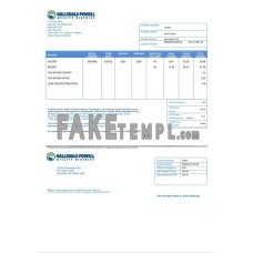 USA Hallsdale-Powell fake utility bill Word and PDF template