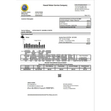 USA Hawaii Water Service Company fake utility bill Word and PDF template