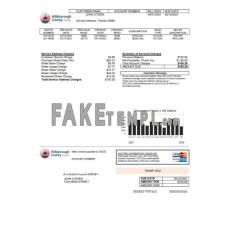 USA Hillborough County fake utility bill Word and PDF template