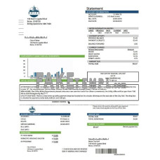 USA Idaho Boise City of Trees fake water utility bill Word and PDF template