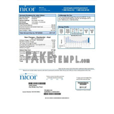 USA Illinois Nicor Gas fake utility bill Word and PDF template