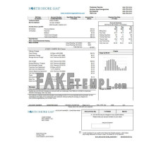 USA Illinois North Shore Gas fake utility bill Word and PDF template