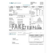 USA Illinois Peoples Gas fake utility bill Word and PDF template