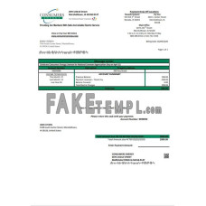 USA Iowa Consumers Energy fake utility bill Word and PDF template