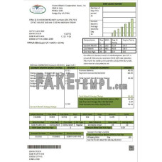 USA Kansas Victory Electric fake utility bill Word and PDF template