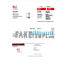 USA Kentucky fake electricity utility bill Word and PDF template