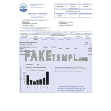 USA Lakewood Water District fake utility bill Word and PDF template