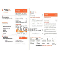 USA Long Island PSEG fake electricity utility bill Word and PDF template 2 pages