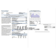 USA Maryland Potomac Edison fake utility bill Word and PDF template 2 pages