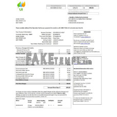 USA Massachusetts Chelsea UI The United Illuminating Company fake utility bill Word and PDF template