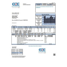 USA Minnesota East Central Energy fake utility bill Word and PDF template