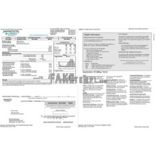 USA Minnesota Energy fake utility bill Word and PDF template, 2 pages