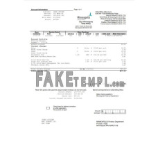 USA Minnesota Minneapolis City of Lakes fake utility bill Word and PDF template