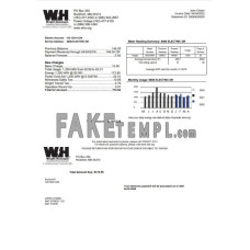 USA Minnesota Wright-Hennepin fake utility bill Word and PDF template