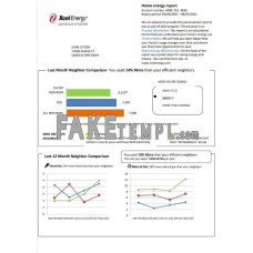 USA Minnesota Xcel Energy fake utility bill Word and PDF template