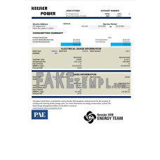 USA Mississippi Keesler AFB Energy fake utility bill Word and PDF template