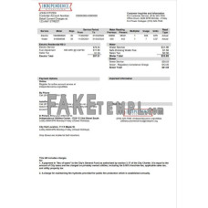 USA Missouri Independence Utilities fake utility bill Word and PDF template, version 2