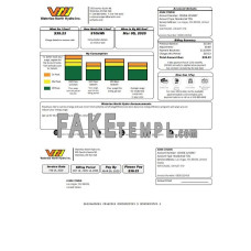 USA Nevada Waterloo North Hydro fake utility bill Word and PDF template, version 2