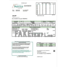 USA New Hampshire Electric Co-op fake utility bill Word and PDF template