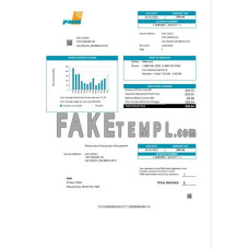 USA New Mexico PNM easy fillable fake utility bill Word and PDF template