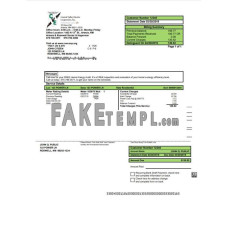 USA New Mexico fake electricity utility bill Word and PDF template