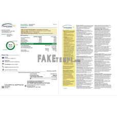 USA New York Central Hudson A fortis company fake utility bill Word and PDF template