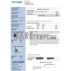 USA New York National Grid fake utility bill Word and PDF template