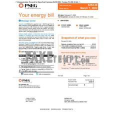 USA New York PSEG fake utility bill Word and PDF template, 5 pages