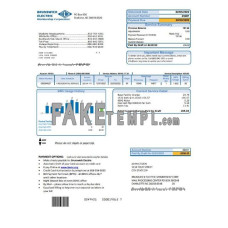 USA North Carolina Brunswick Electric fake utility bill Word and PDF template