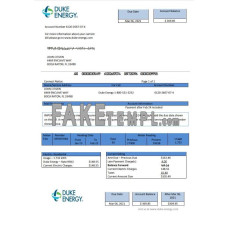 USA North Carolina Duke Energy fake utility bill Word and PDF template