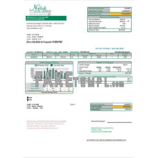 USA North Dakota Nodak Electric Cooperative fake utility bill Word and PDF template