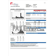 USA NorthWestern Energy fake utility bill Word and PDF template, version 1