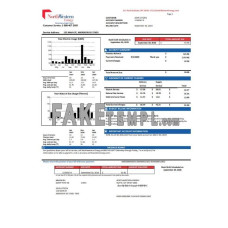 USA NorthWestern Energy fake utility bill Word and PDF template, version 2