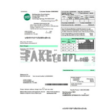 USA Northwestern Rural Electric fake utility bill Word and PDF template