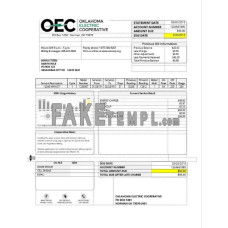 USA OEC fake electricity utility bill Word and PDF template