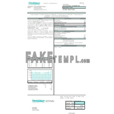 USA Ohio Edison fake utility bill Word and PDF template