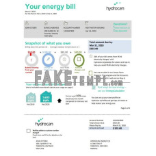 USA Ontario Hydrocan fake electricity utility bill Word and PDF template