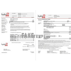 USA Ontario’s Hydro One fake electricity utility bill Word and PDF template (2 pages)