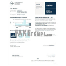 USA PGE fake utility bill Word and PDF template