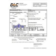 USA Pennsylvania Duquesne light fake utility bill Word and PDF template