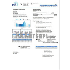 USA Pennsylvania PPL Electric fake utility bill Word and PDF template