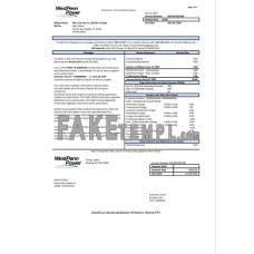 USA Pennsylvania West Penn Power fake utility bill Word and PDF template