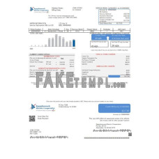 USA Rappahannock Electric Cooperative fake utility bill Word and PDF template